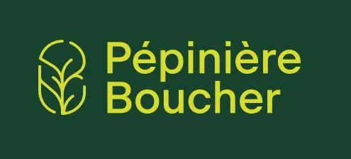 Vue aérienne des serres et champs de production de la Pépinière Boucher à Saint-Ambroise